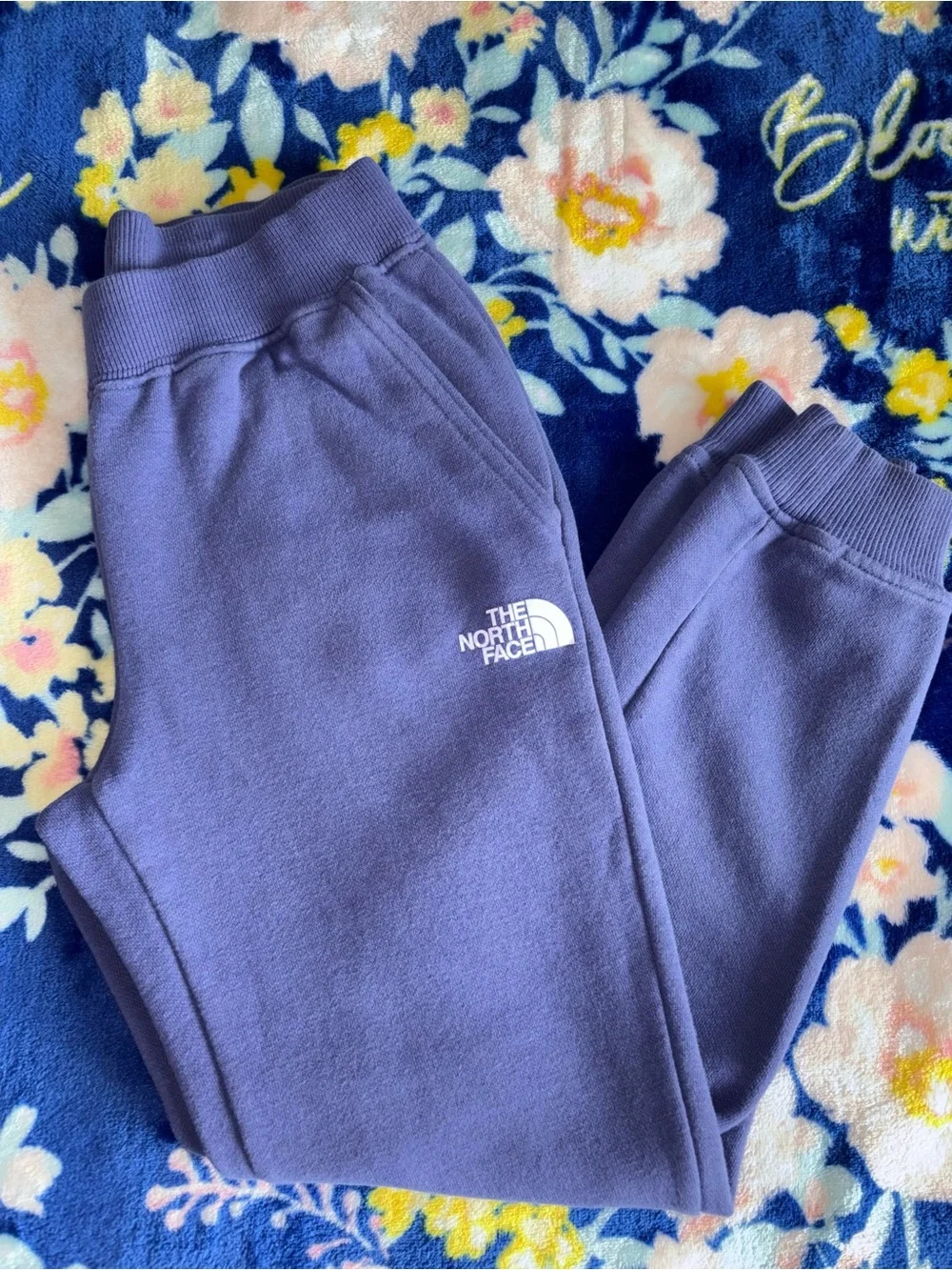 The North Face Kids Cove Blue/Purple  Jogger Sweatpants | Size: Girls 7/8
